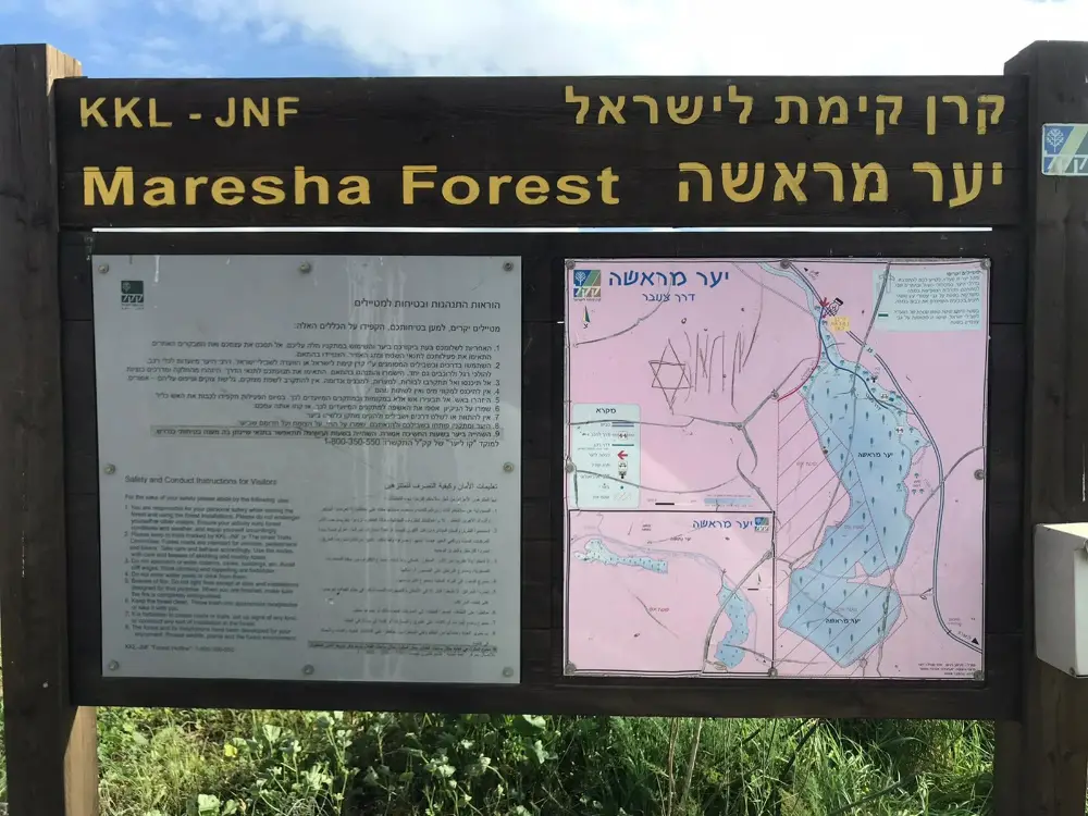 אסתר אשל ואיאן שטרן- 'אם חטוף יחטוף אשה'- כתובות חידוש חדשות ממרשה