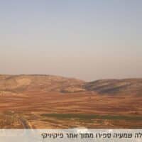 "אין מלך בישראל"