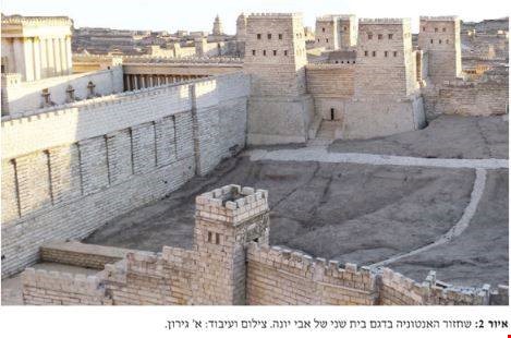 חידת האנטוניה – יציאה מהסבך