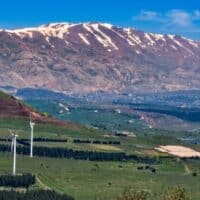 קרדיט צילום: סופי ברזיליי