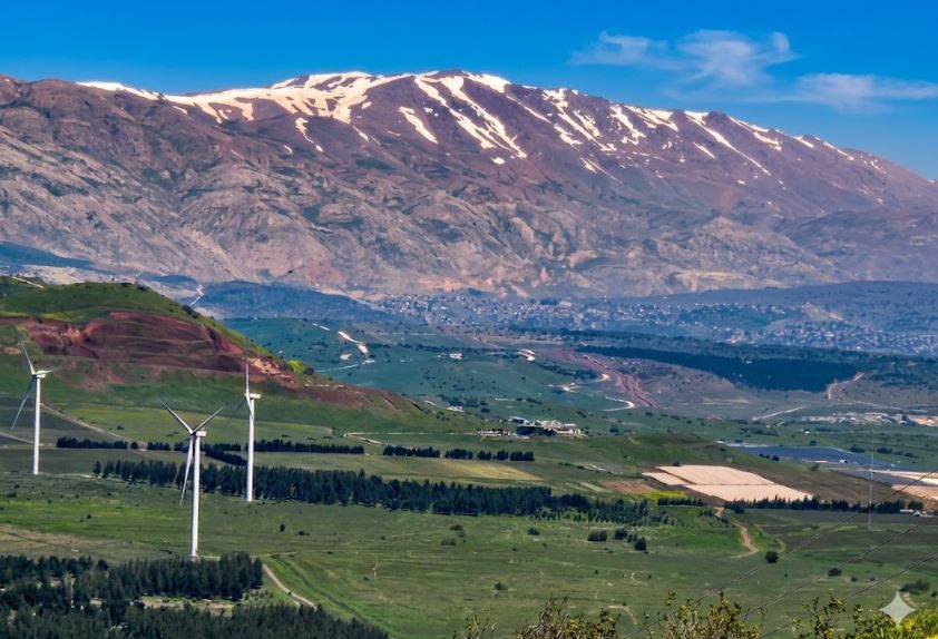 קרדיט צילום: סופי ברזיליי
