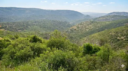 הר הכרמל